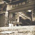 デジタルサイネージコンテンツ