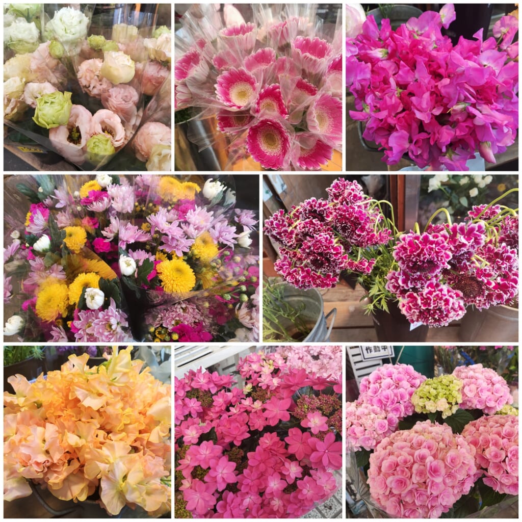 旦過花祭り 花処パレット田仲